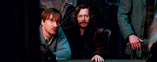 wolfstar at a table together, at the OOTP meeting; sirius's arm is on the back of remus's chair (they look so married)